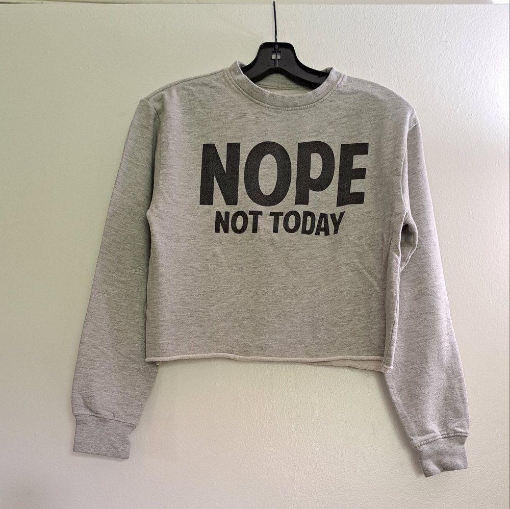 Gray crop sweater shirt